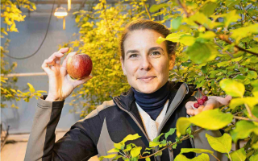 Andrea Buhlmann, Tages Anzeiger, 13.12.24