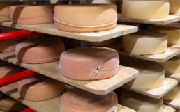 La révolution fromagère est en marche grâce à un tissu d'Agroscope
