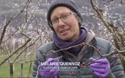 Melanie Quennoz, Couleurs Locales, RTS, 27.03.2024