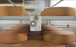 Die Schatzkammer des Schweizer Käses