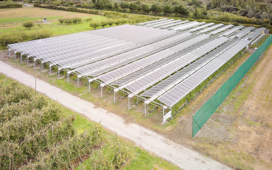 agri-pv_impressionen_conrad_schubert