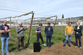 Agri-PV im Himbeerfeld