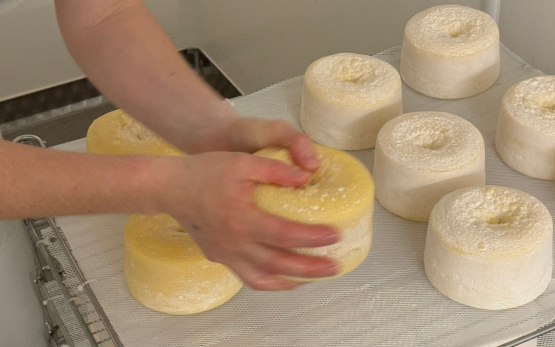 Käserei O’lait 5 Reisebericht