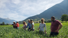 20250909_VS_Alp_berglandwirtschaft_impresionnen_20250618_110311_web