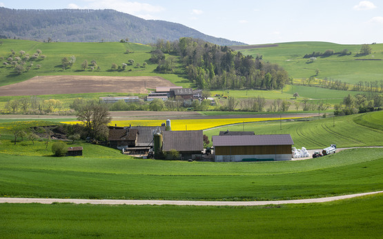 Oekoeffizienz