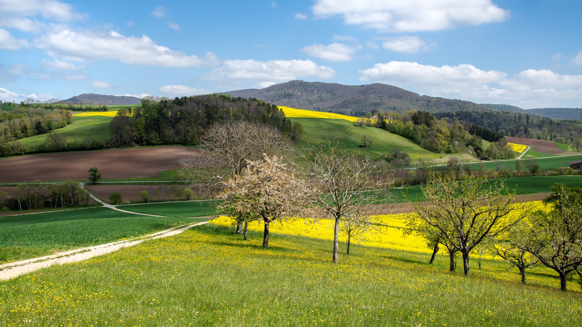 Landschaft, Biodiversität, Klettgau