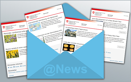 Newsletter Teaser