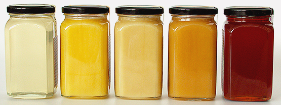 Diverse varietà di miele monoflorale