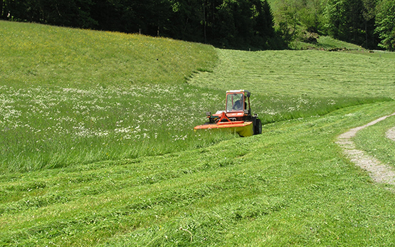 Futterbau Gras Traktor Maeher