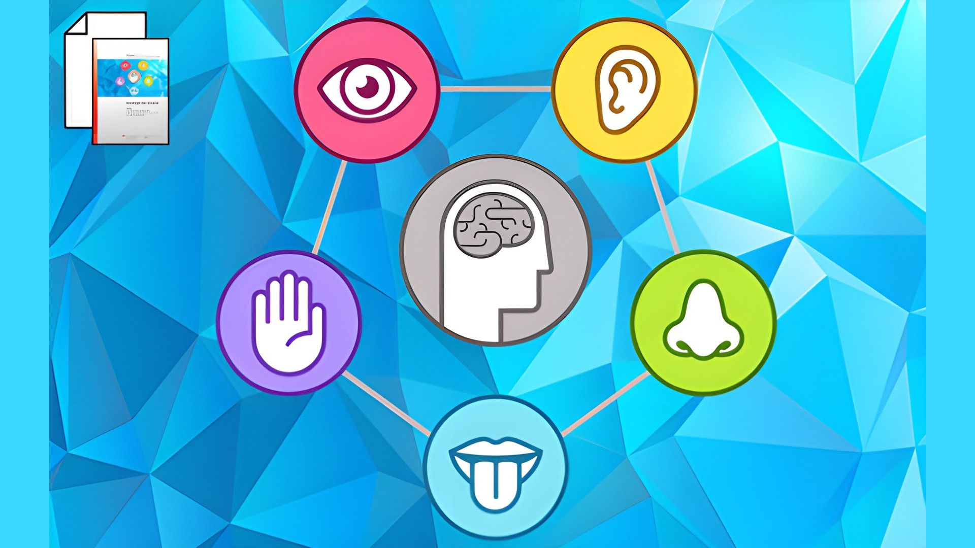 Grundlagen Sensrorik