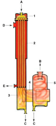 Figura 4: Schema del funzionamento di un evaporatore con pellicola discendente