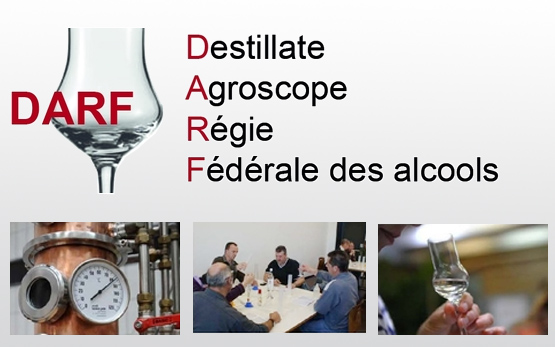 Destillate DARF Logo