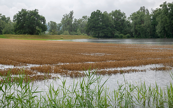 Waser schlecht Wetter 2022