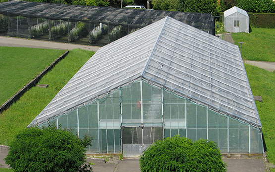 Nuklearstock Gazehaus Glashaus