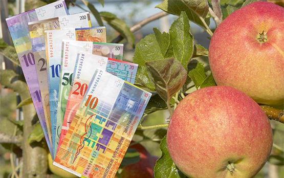 Obstbau Betriebswirtschaft Geldnoten Apfel