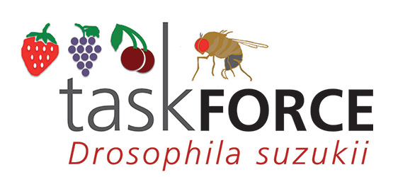 Logo_TaskForce_Ds