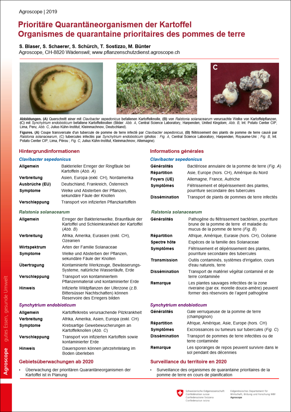 Poster Kartoffelkrebs Synchytrium endobioticum