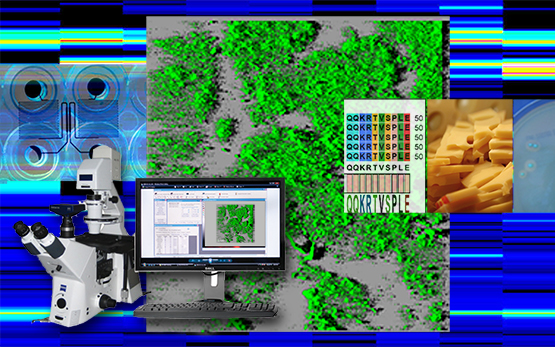 Forschungsprogramm REDYMO Biofilm