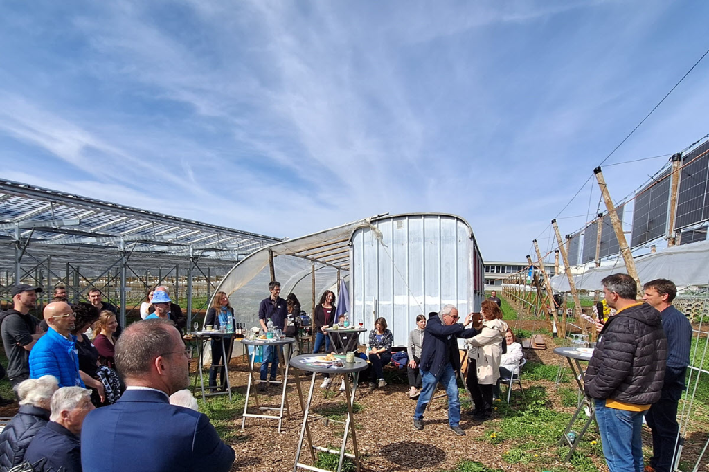 Agri-PV im Himbeerfeld