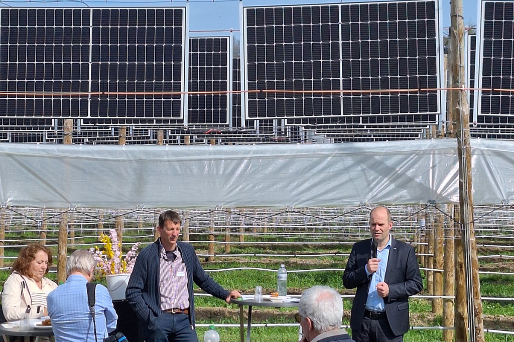 Agri-PV im Himbeerfeld