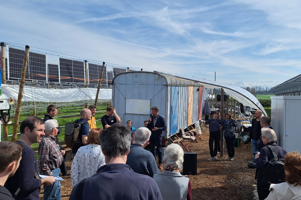 Agri-PV im Himbeerfeld